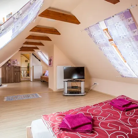Nyirfa Apartmanhaz Doeroeske